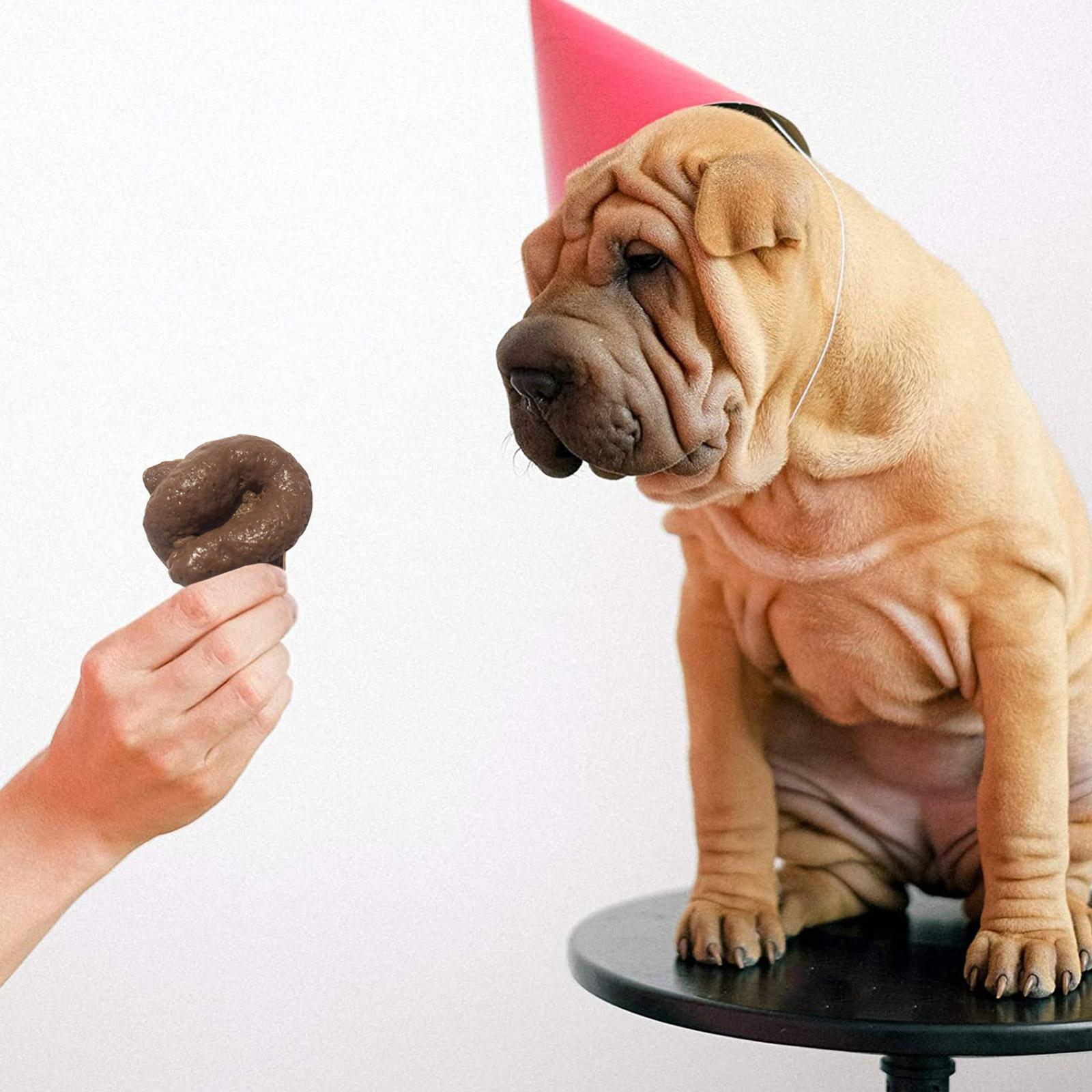 Realistyczna, bezpieczna i mię – Fake Poop Gag Gift recenzja i cena
